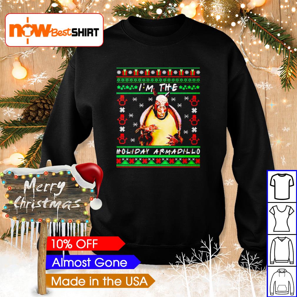 friends holiday armadillo sweater