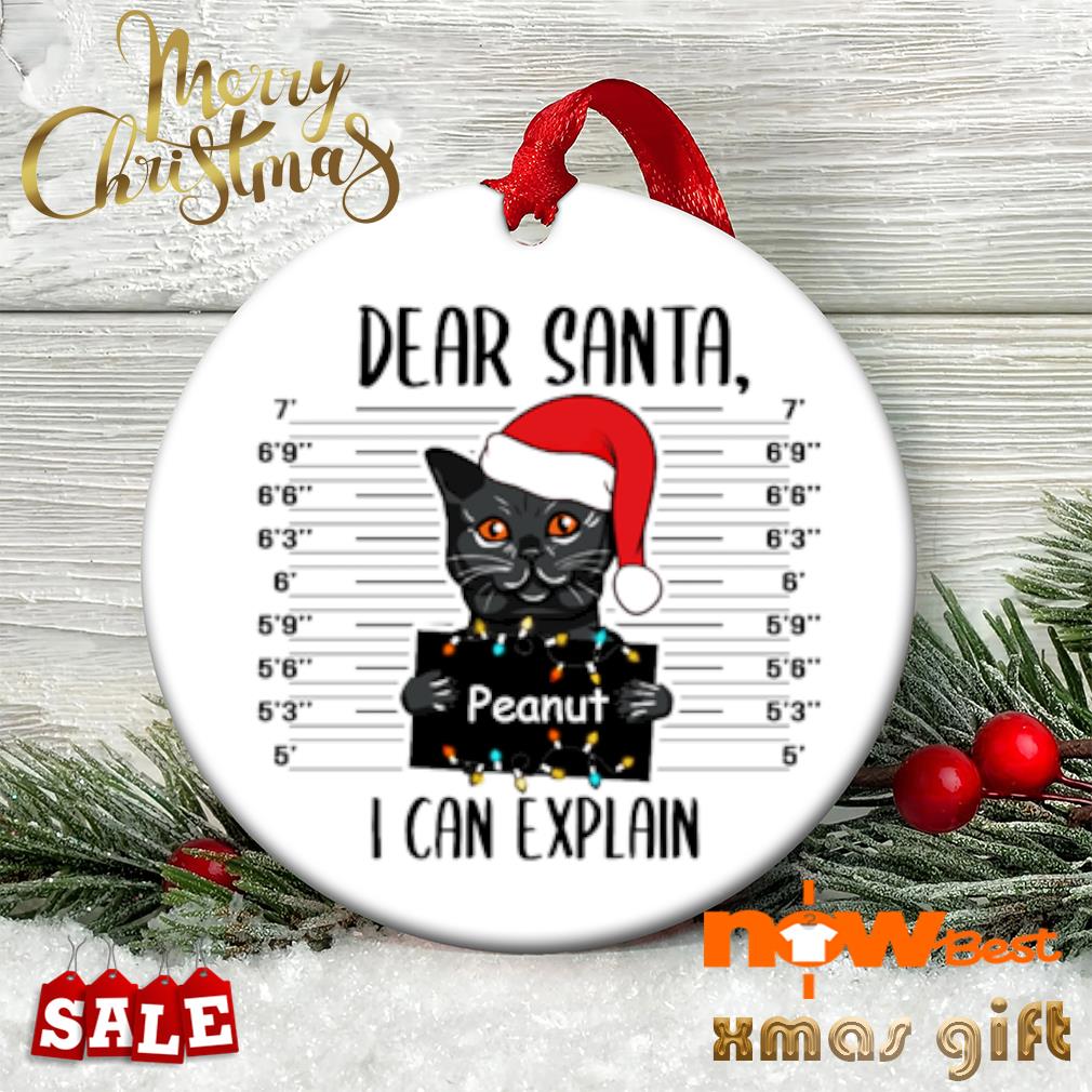 Dear Santa I can explain Christmas ornament