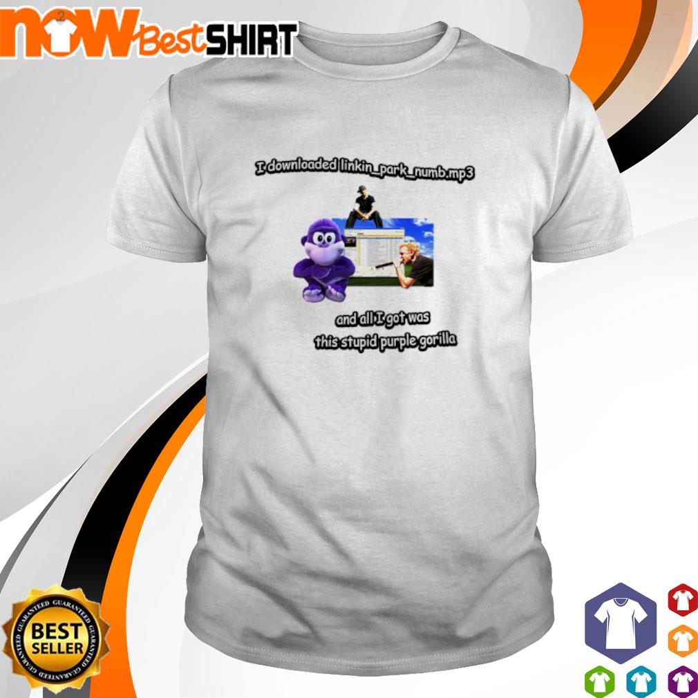 I downloaded linkin_park_numb.mp3 shirt