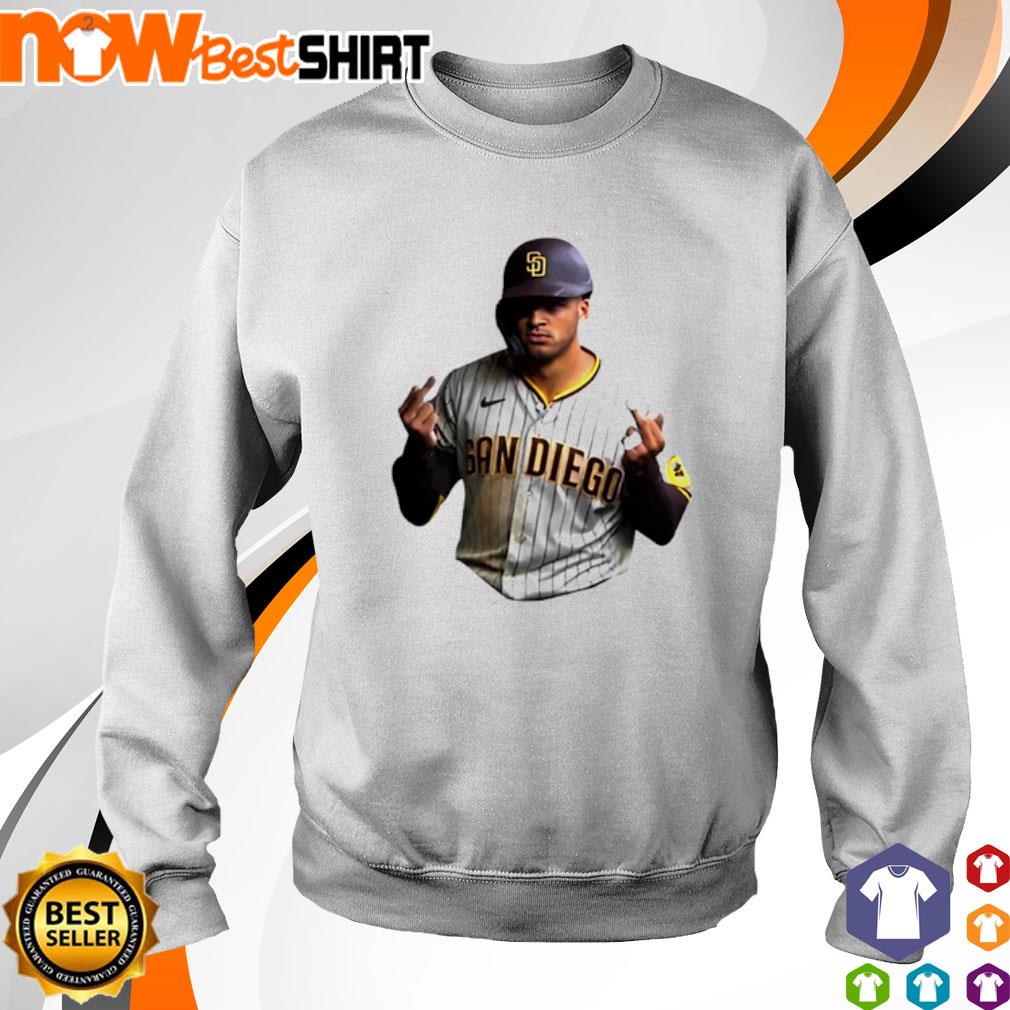 Fernando Tatis Jr. San Diego Rough Signature Baseball T-Shirt, hoodie,  sweater, long sleeve and tank top